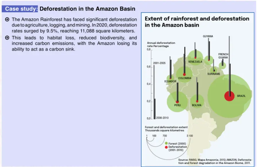 Amazon 