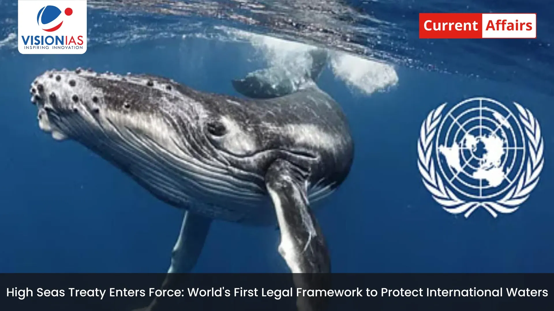 High Seas Treaty Enters Force: World's First Legal Framework to Protect International Waters