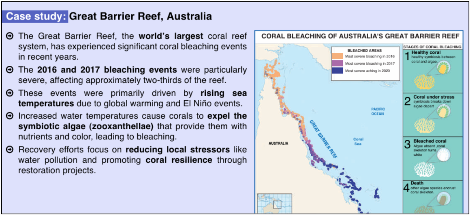 Geography Case Studies