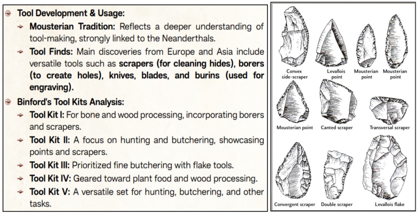 Mousterian tool tradition