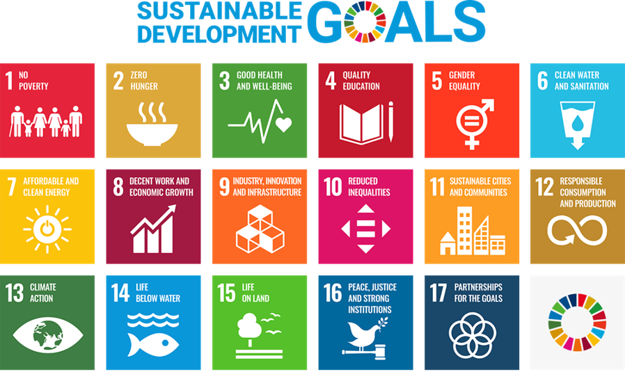 Sustainable development goals 